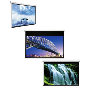 Motorized Screens